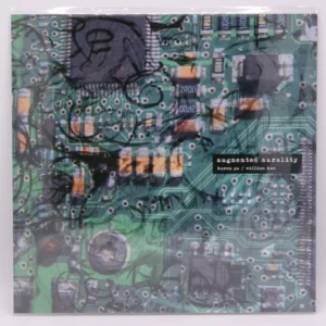 Karen Yu, William Kuo - Augmented Aurality