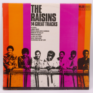 The Raisins - 14 Great Tracks
