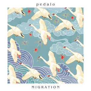 Pedalo - Migration & Delicate Thing